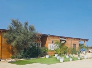 e-love concept beach club protagonista a Benvenute a bordo L'Italia raccontata in van